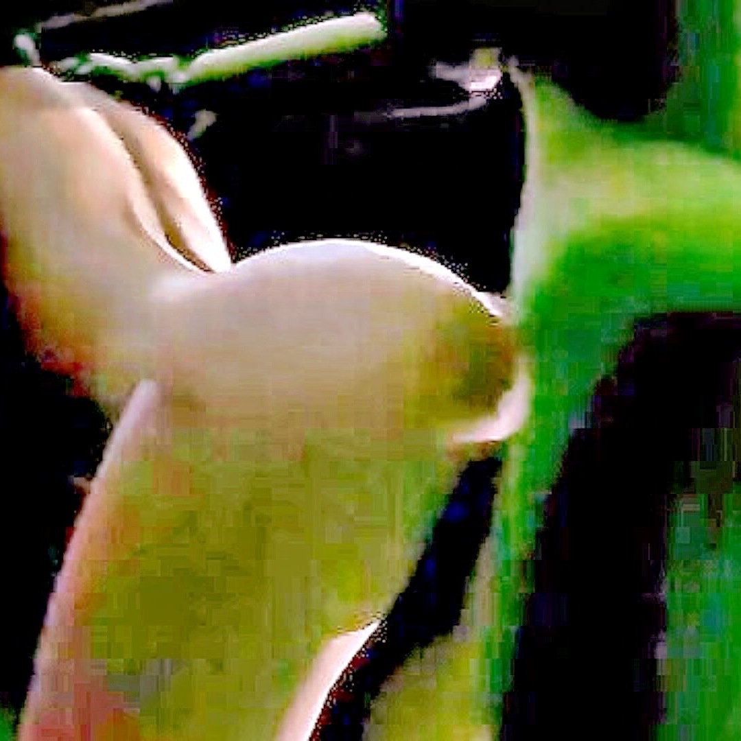 FNAF sfm's explicit close-upDetailed animated pleasureUncensored cartoon heat