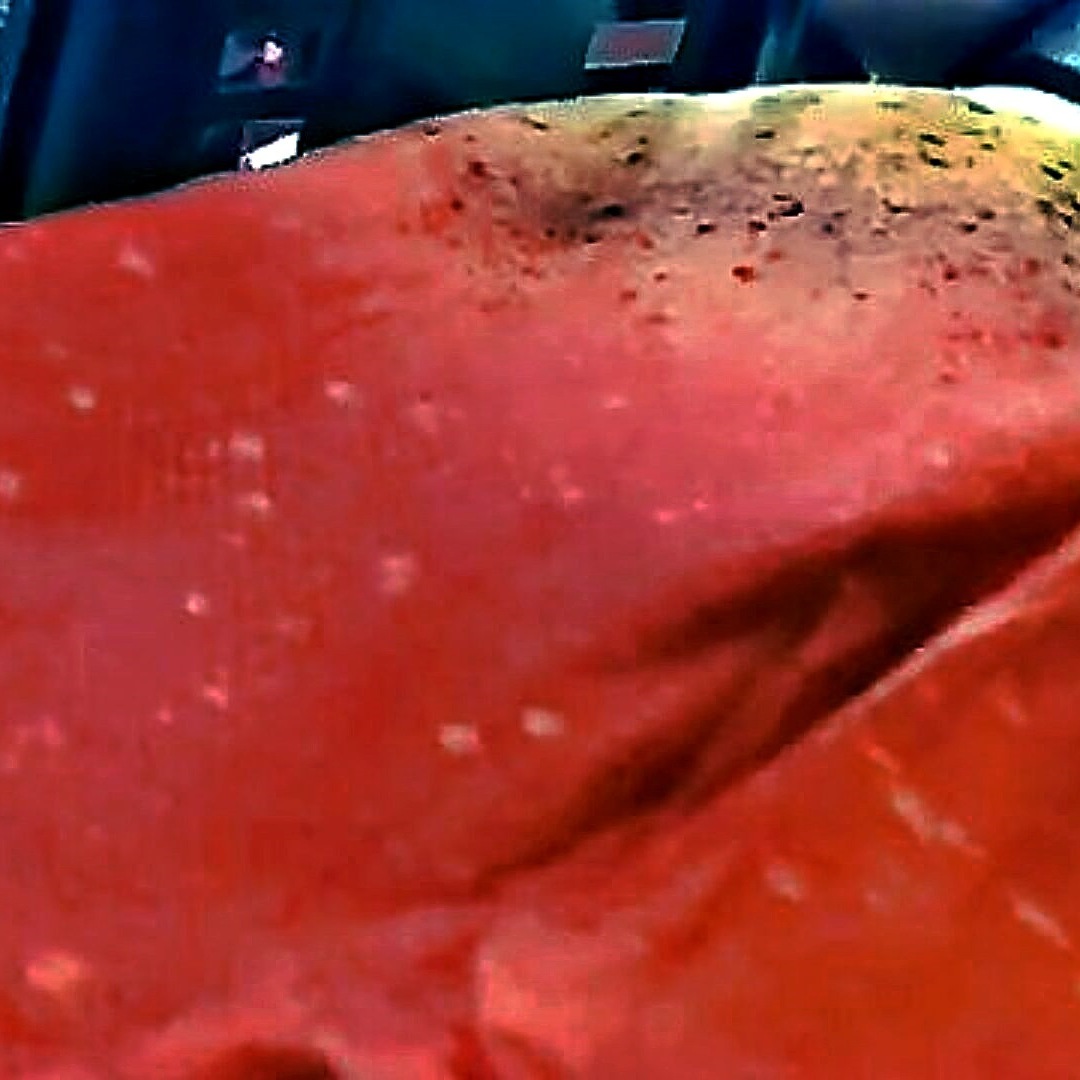 Nice Ass Girl Gives A Blowjob And Shows Off Her Muscles In The Kitchen - XXXBP