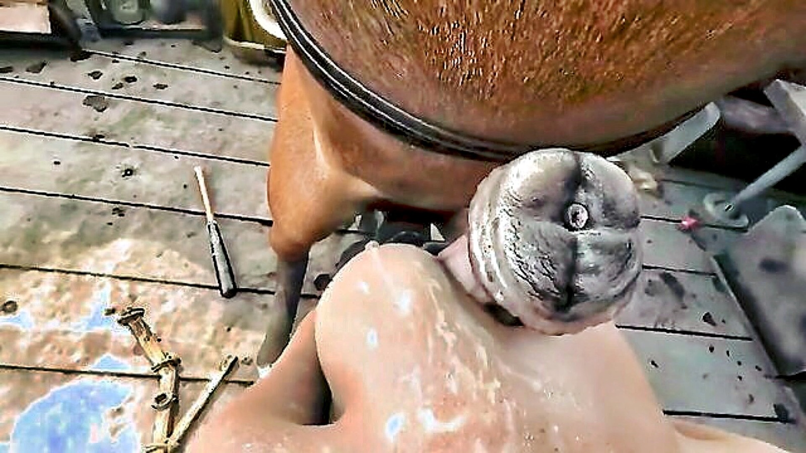 Horse XXX Porn Videos - XXXBP