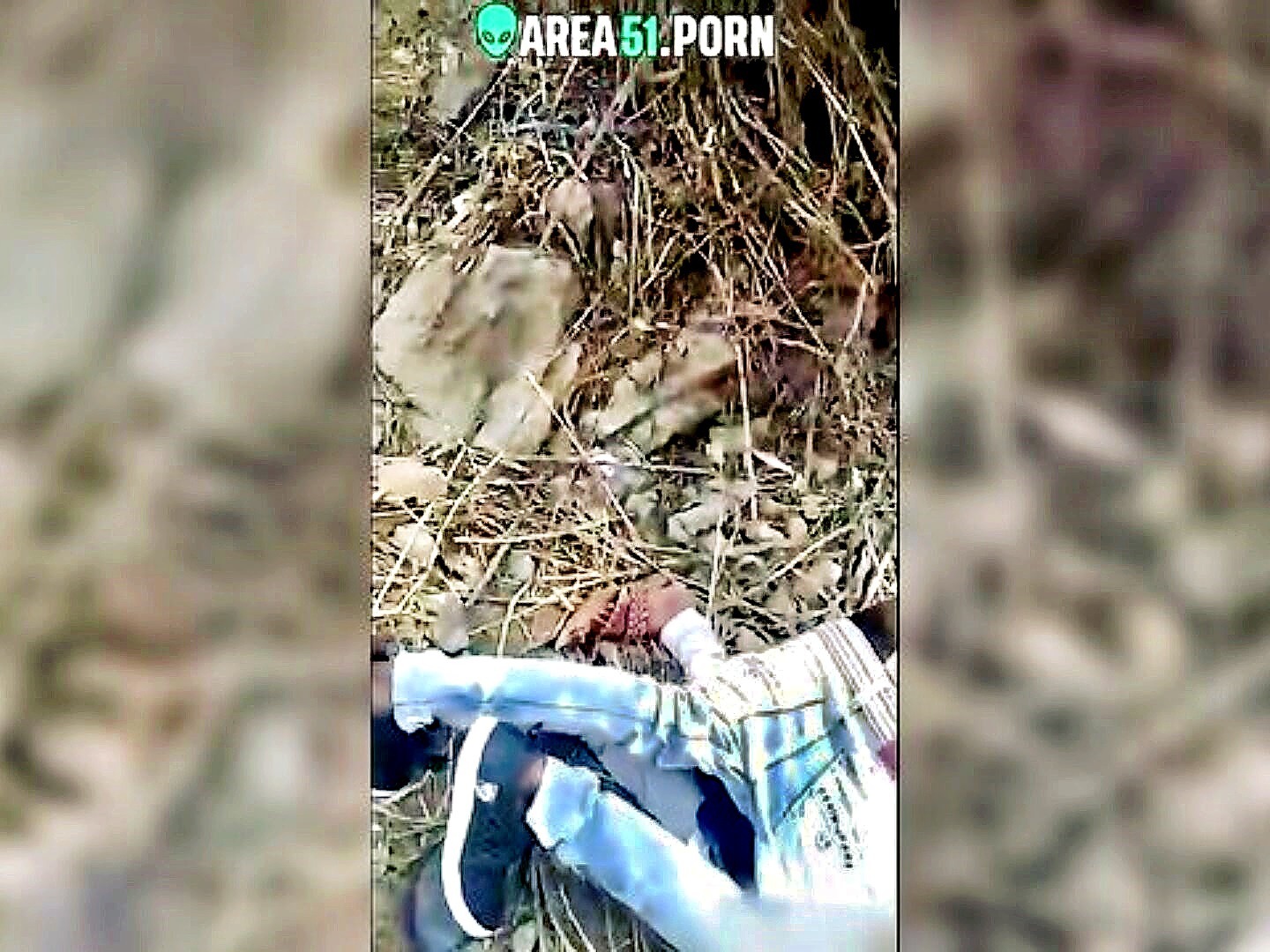 Public display of passion in India